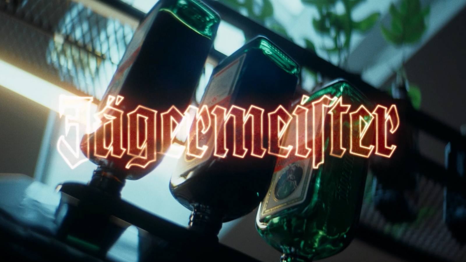 jagermeister logo above bottles